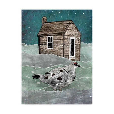 Trademark Fine Art Francesca Rizzato Art 'Alaska White Bird' Canvas Art, 18x24 ALI34801-C1824GG